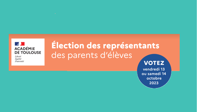 vignette elections.png